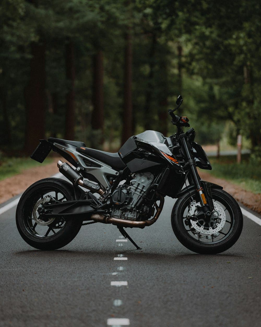 Naked bike parked on a forest road, the kind of shot a share card is made from